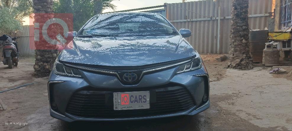 تويوتا كورولا